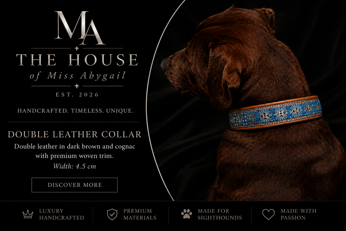 Double Leather Collar